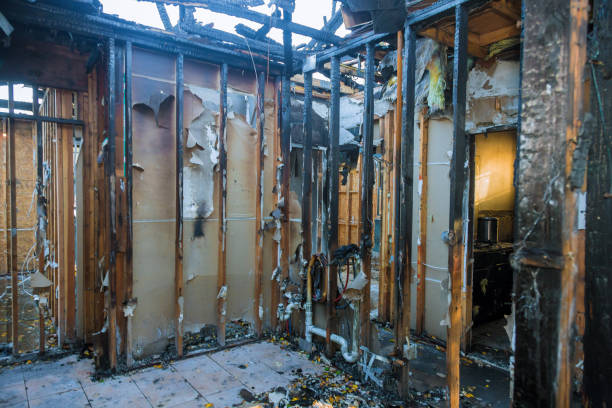 Professional Emergency Fire Cleanup technician working in Williams, AZ